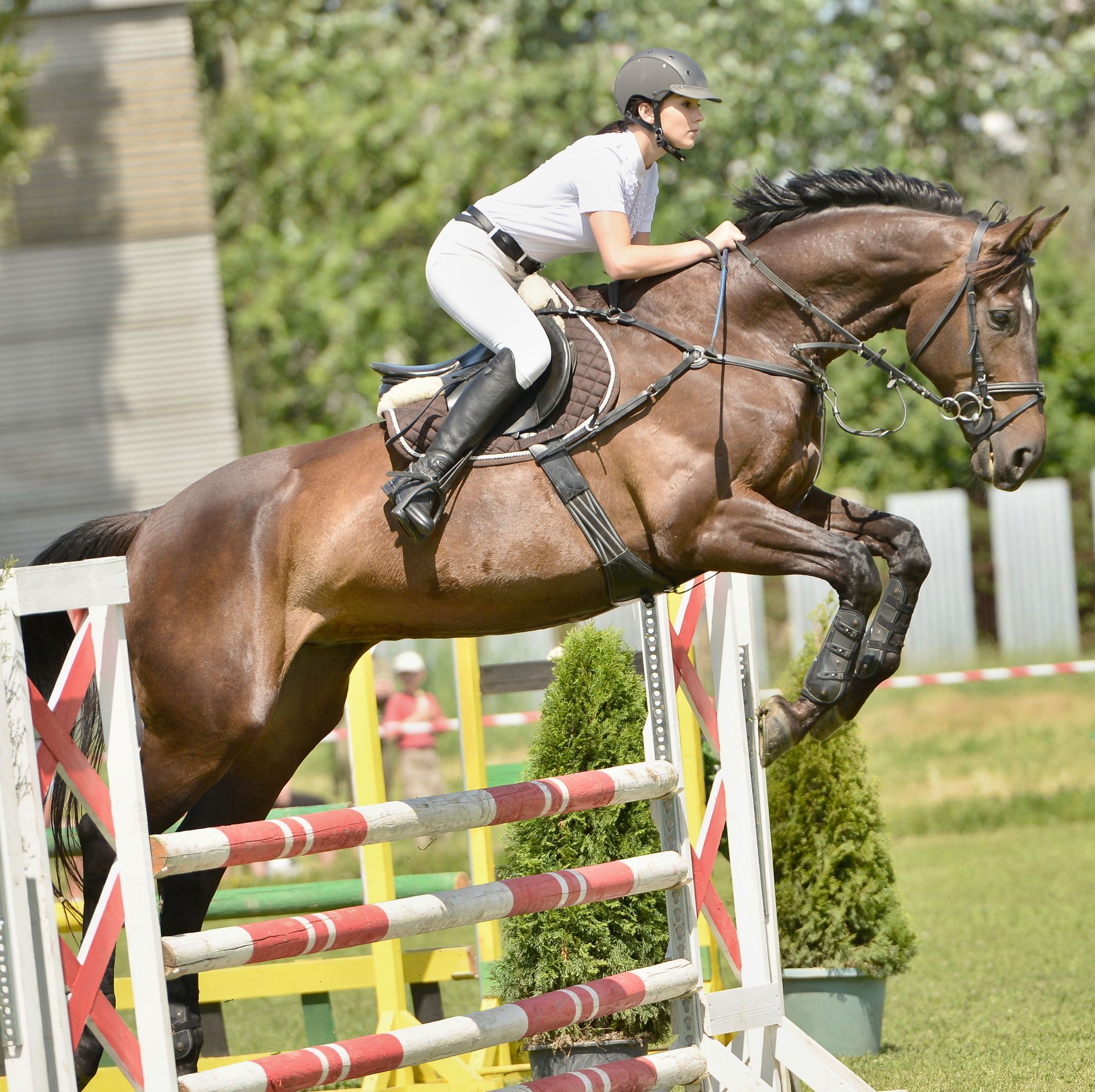 Why Enroll in Local Horse Riding Lessons?
