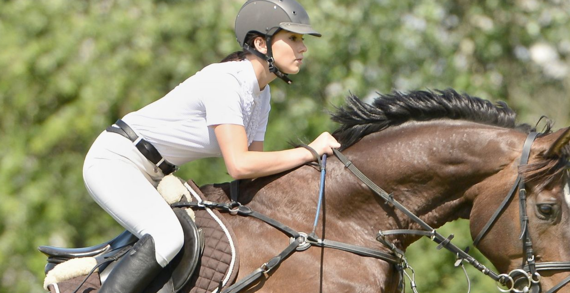 local horse riding lessons