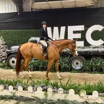 A woman is riding a brown horse in front of a sign that says wec.