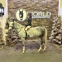 A young boy is riding a horse in front of a brick wall.