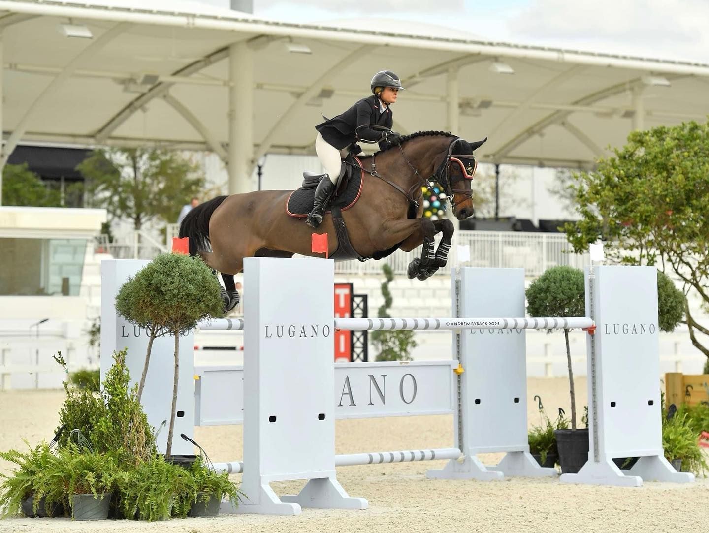 A person is riding a horse over a hurdle that says ano