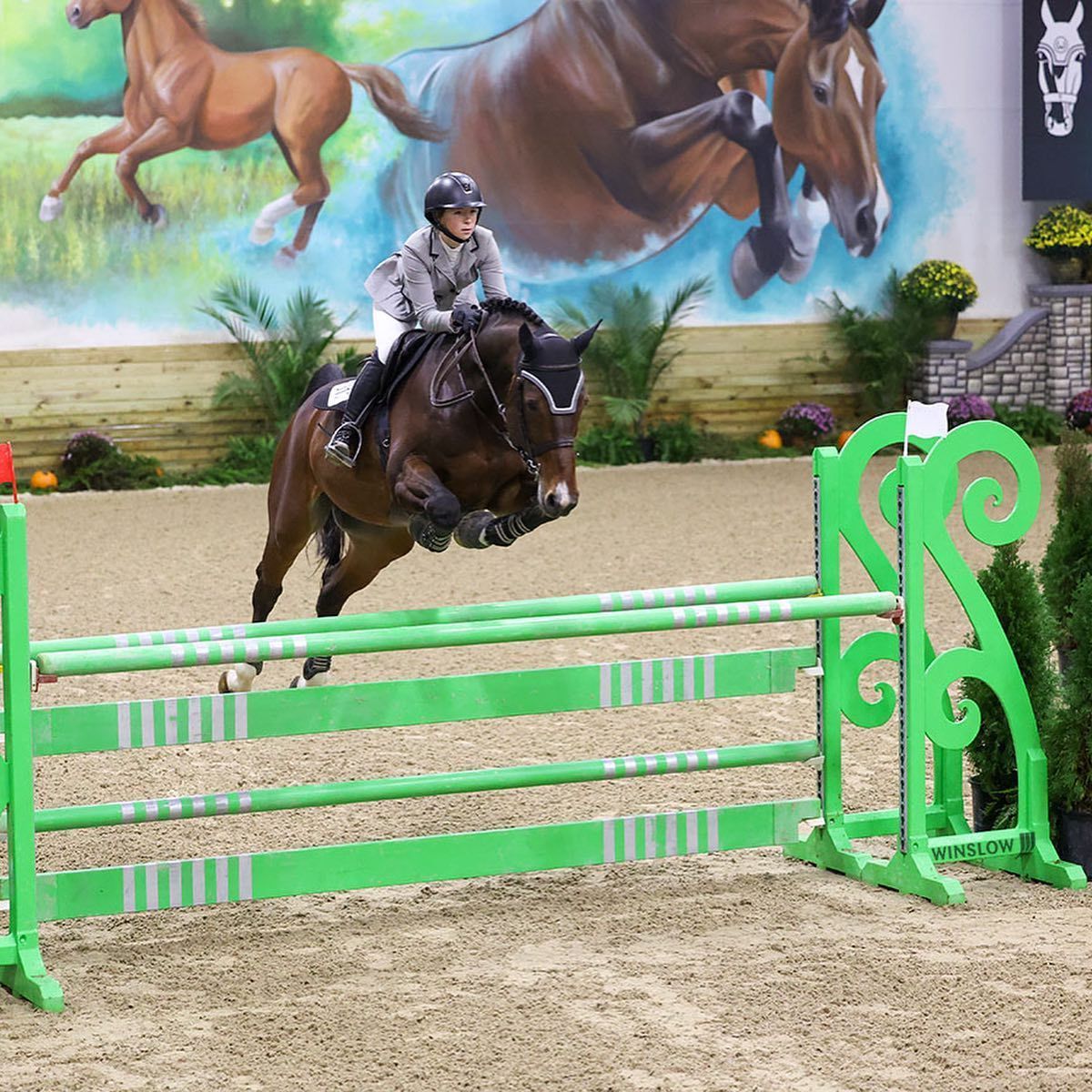 A person riding a horse jumping over a green fence