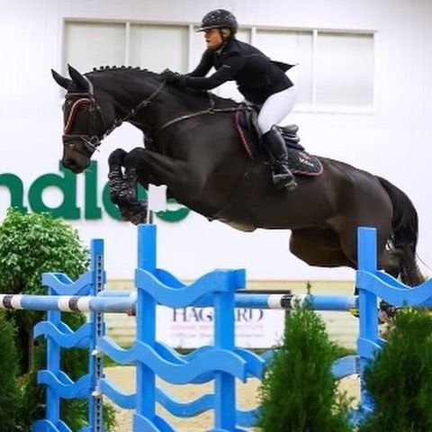 A woman is riding a black horse over a blue fence