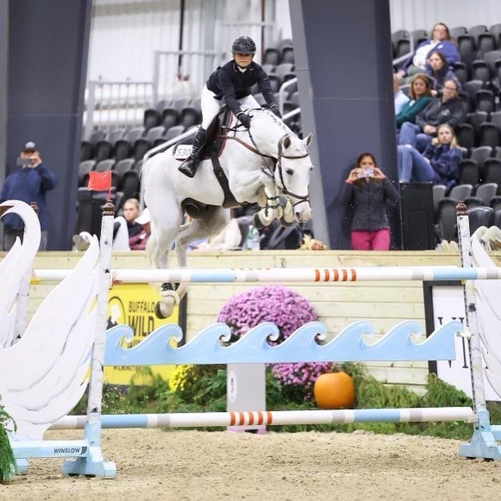 A person riding a white horse jumping over a swan