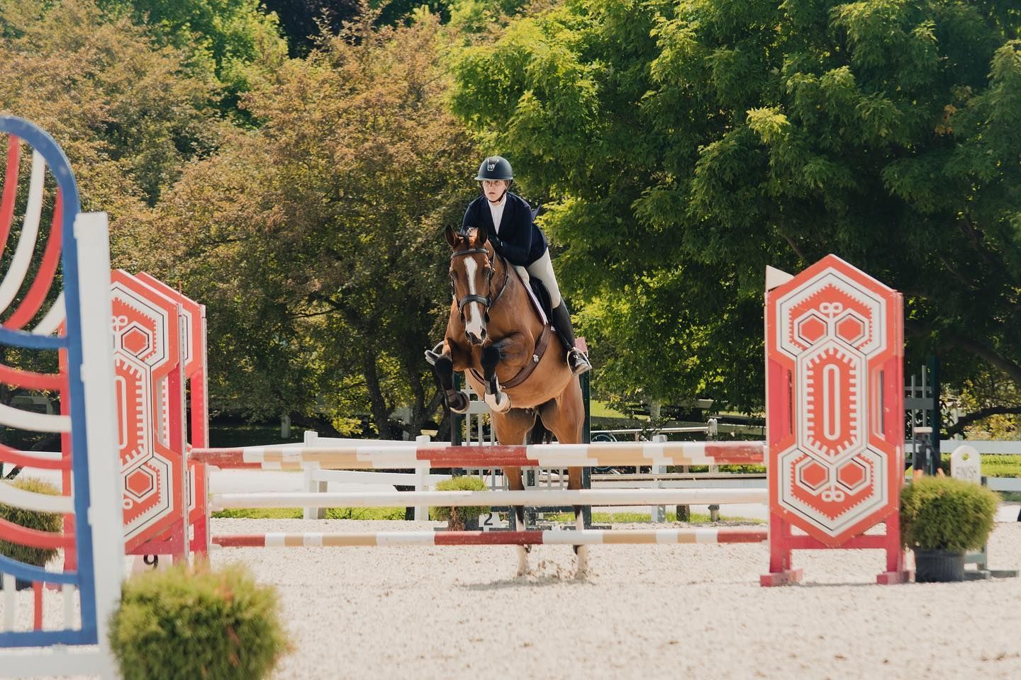 A man is riding a brown horse over a hurdle.