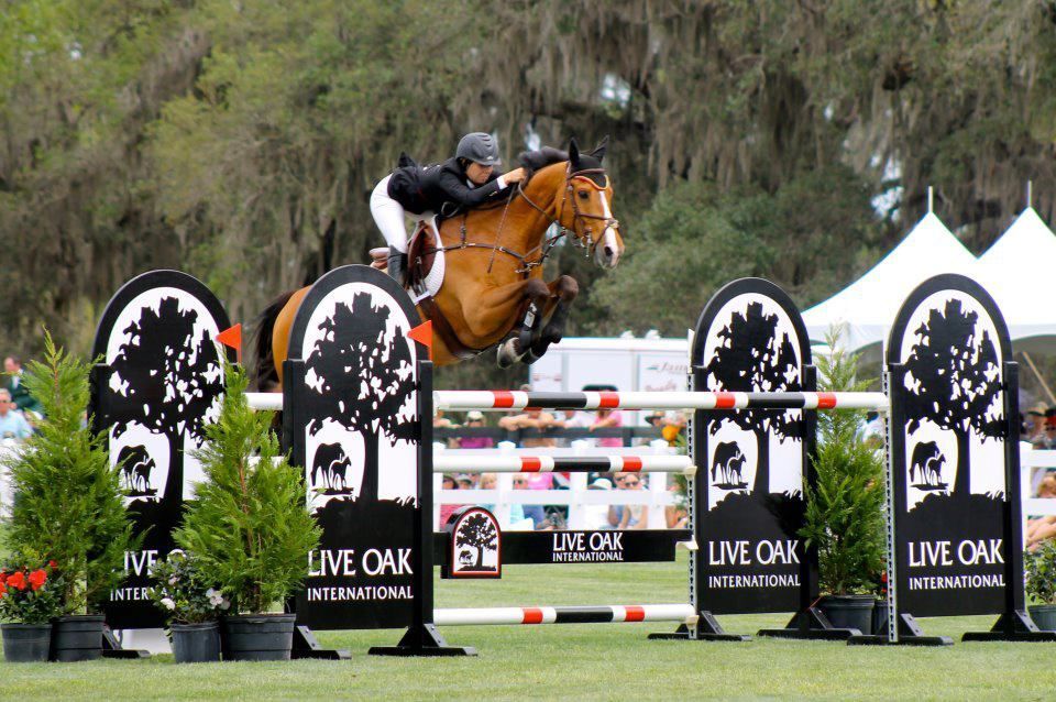 A person is riding a horse over a hurdle that says live oak
