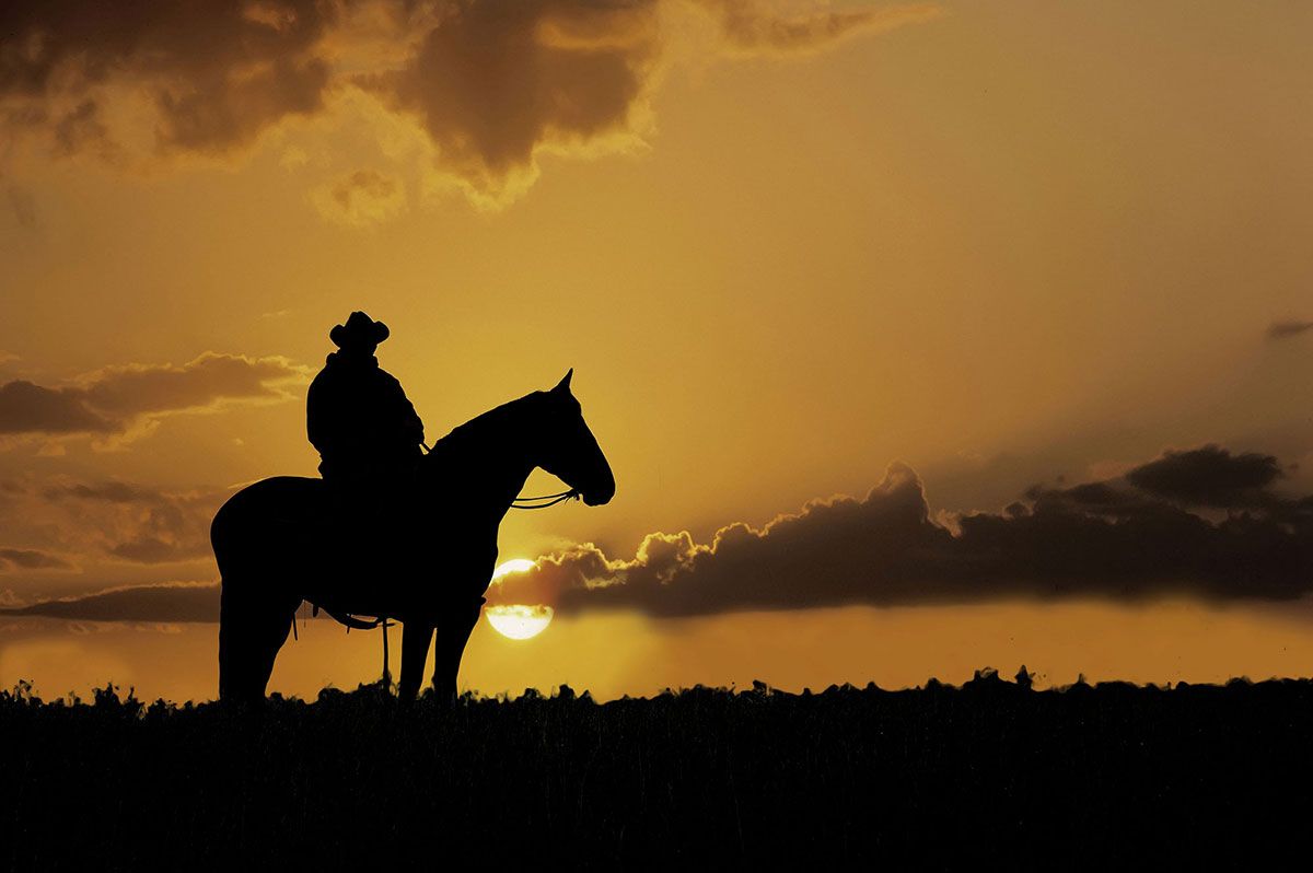 Horse Camp