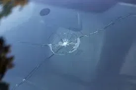 Close-up of a windshield with a circular crack emanating from a point of impact.