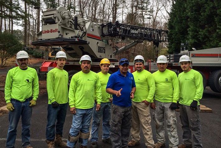 A group of arborists