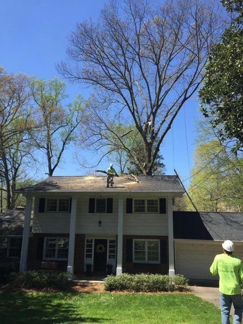 A man is climbing a tree on the roof of a house.