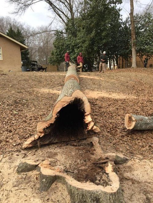 A large tree stump is laying in the dirt in front of a house.