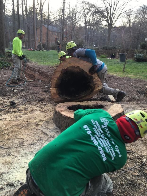 A group of men are working on a tree stump.