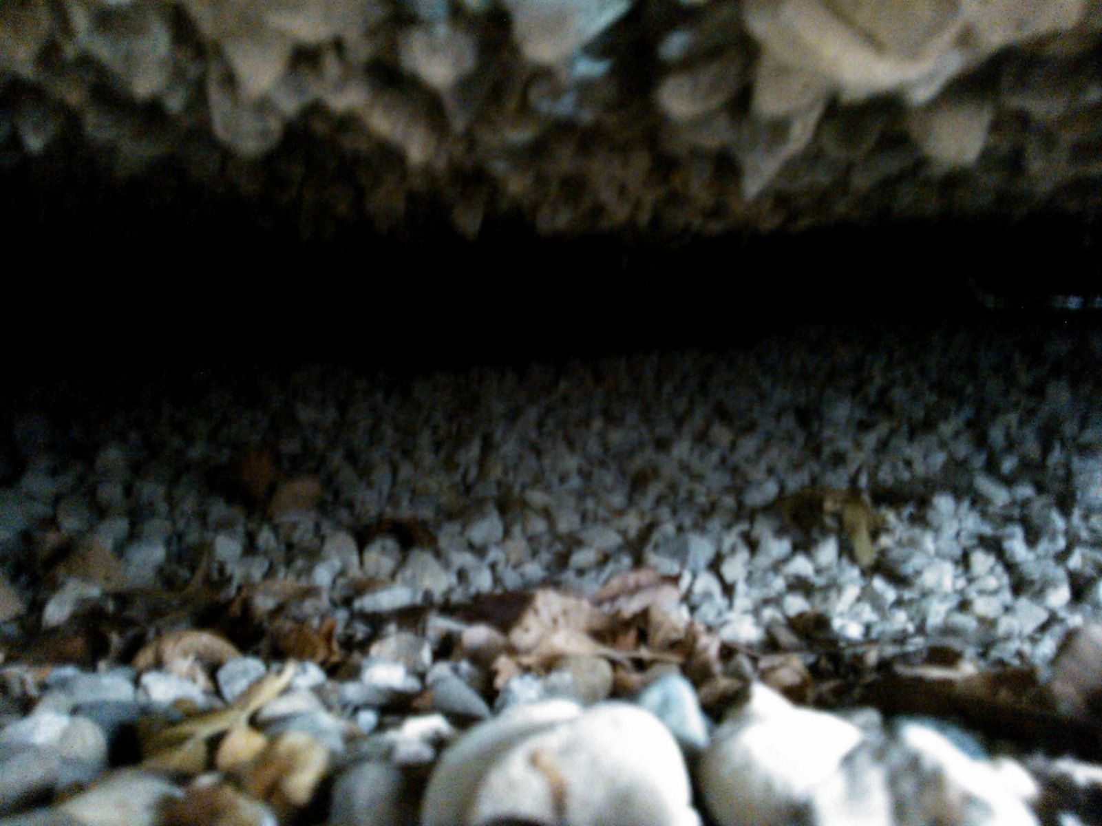 A dark cave filled with rocks and leaves