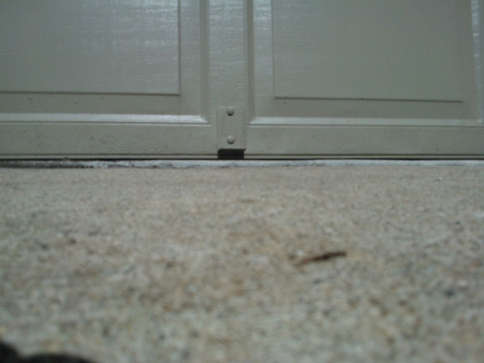 A close up of a carpeted floor with a door in the background.
