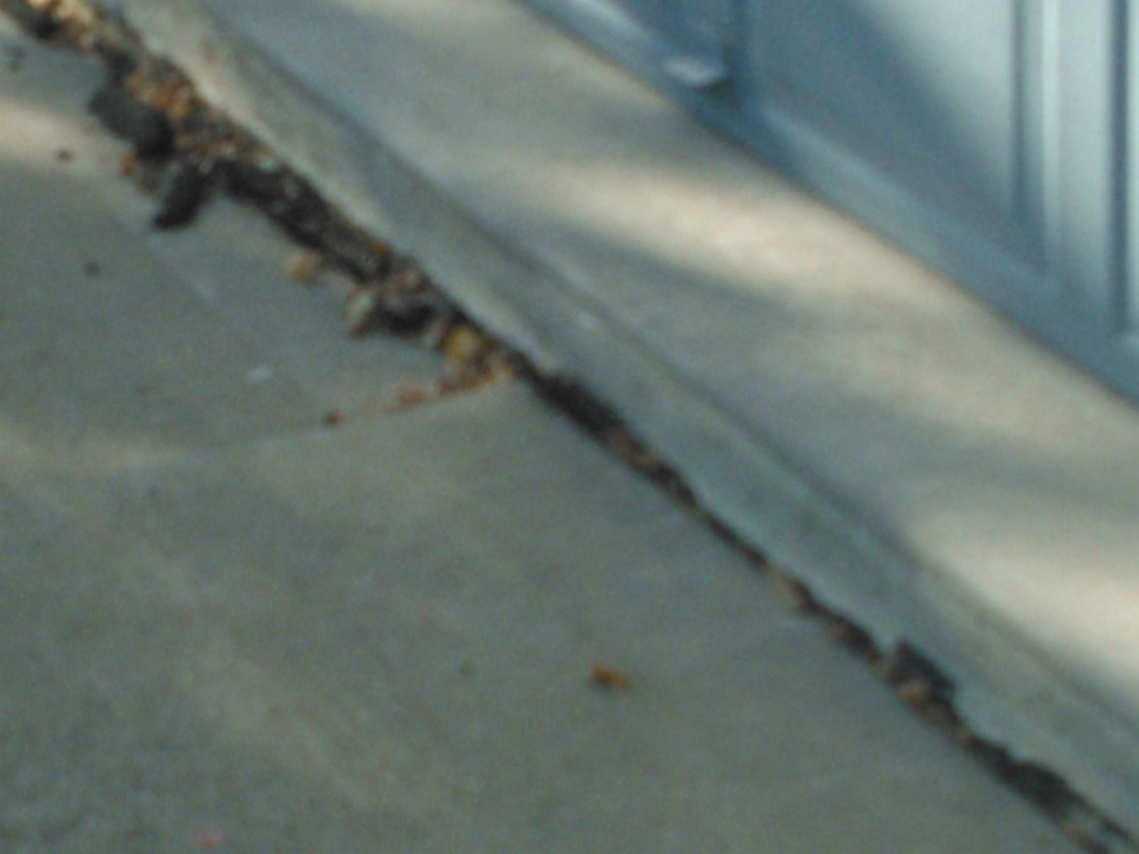 A concrete sidewalk with a few leaves on it