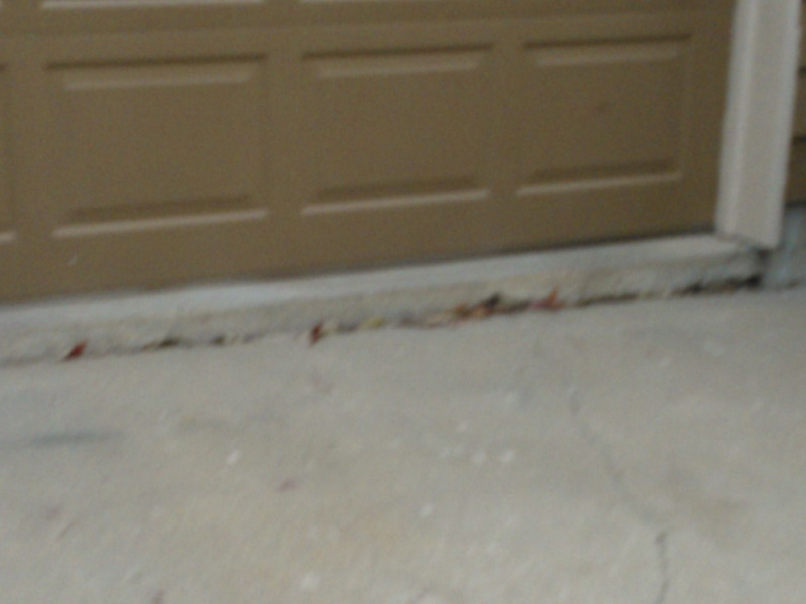 A blurred image of a garage door and a white floor