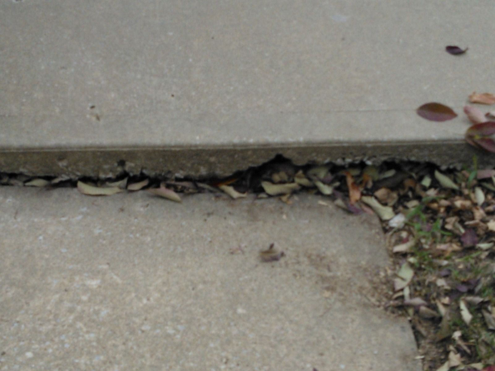 A close up of a concrete sidewalk with leaves on it