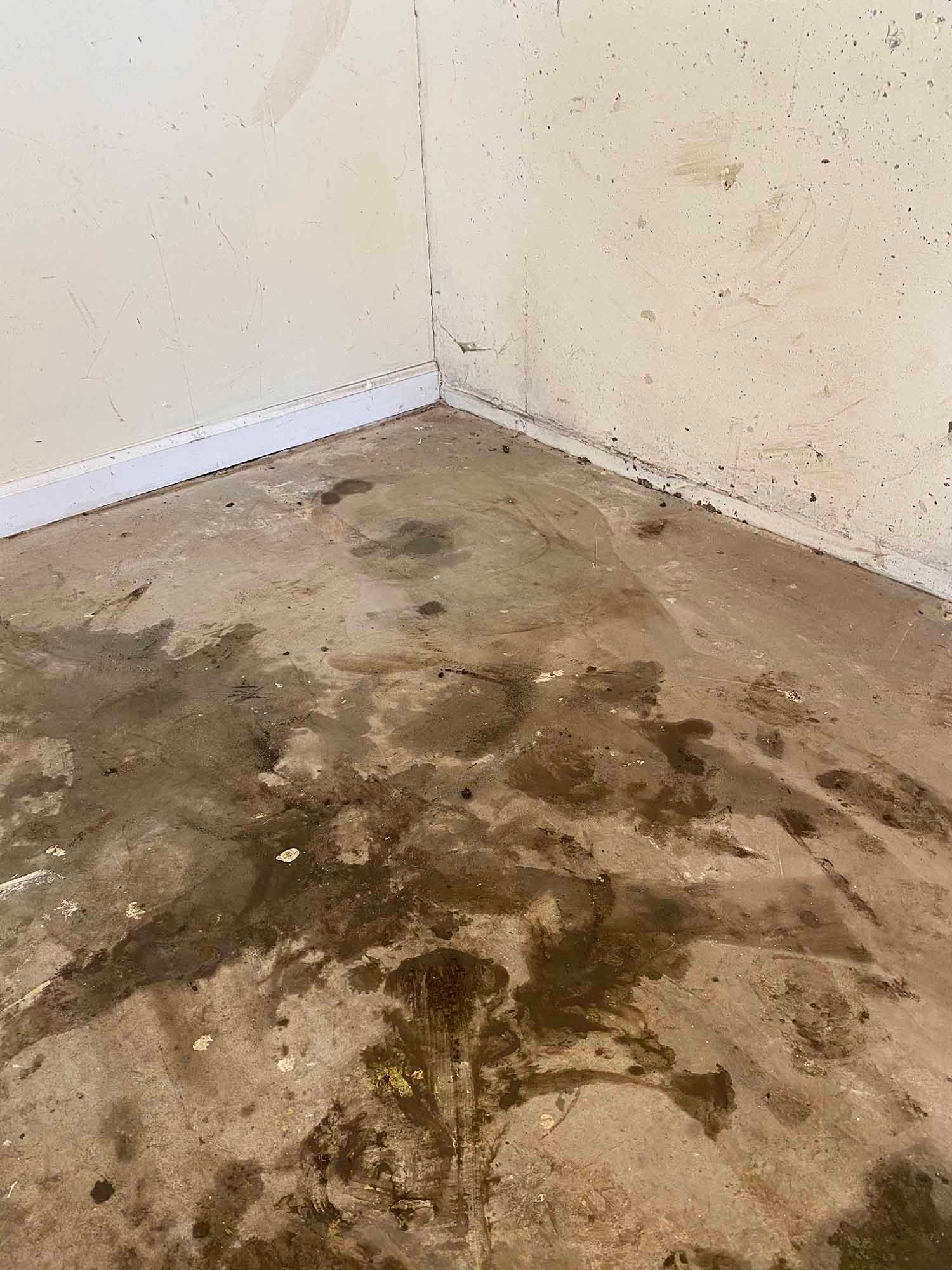 A corner of a room with a dirty floor and a white wall.