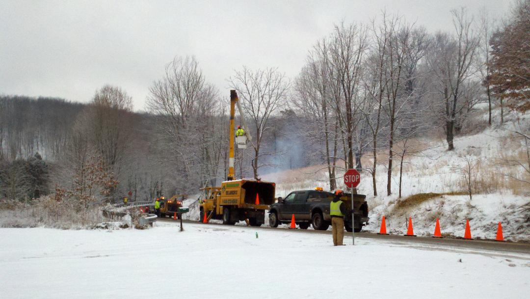 Richardson Tree & Landscape Company Land Clearing New Wilmington