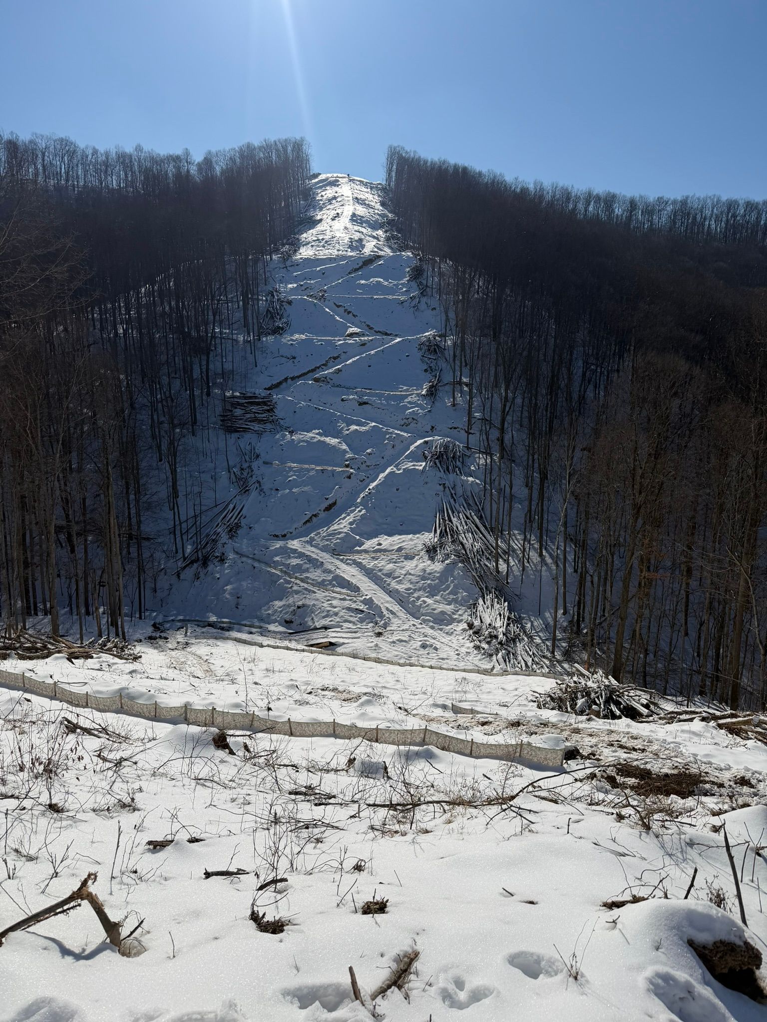 Snow-covered ski slope cutting through dark, leafless trees under bright sunlight