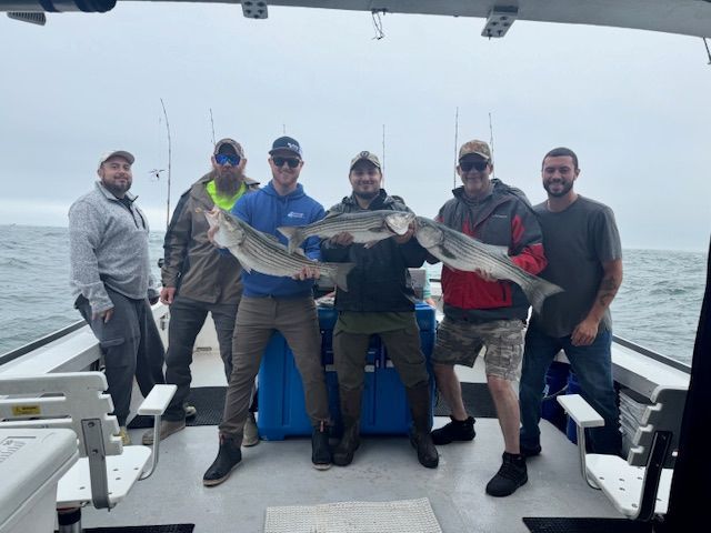 Photo of {{Team Member Name}}