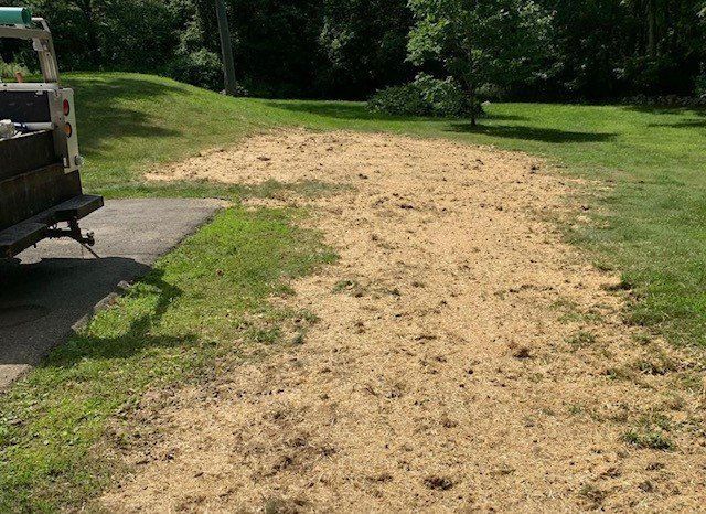 Pile of wood chips spread on grass near a driveway, with a truck on the left and trees in the background.
