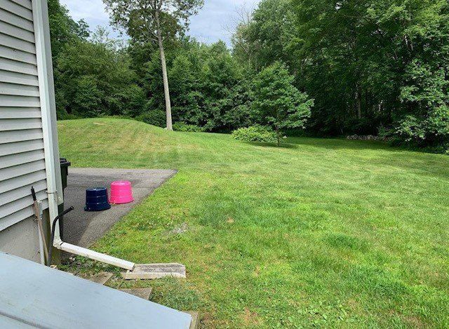 Lawn next to a house with trees in the background; three buckets are near the house.
