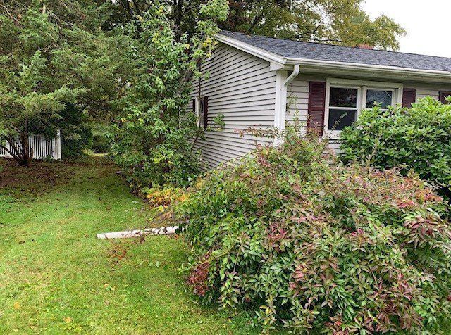 House exterior with siding, bushes, grass, and a downspout.