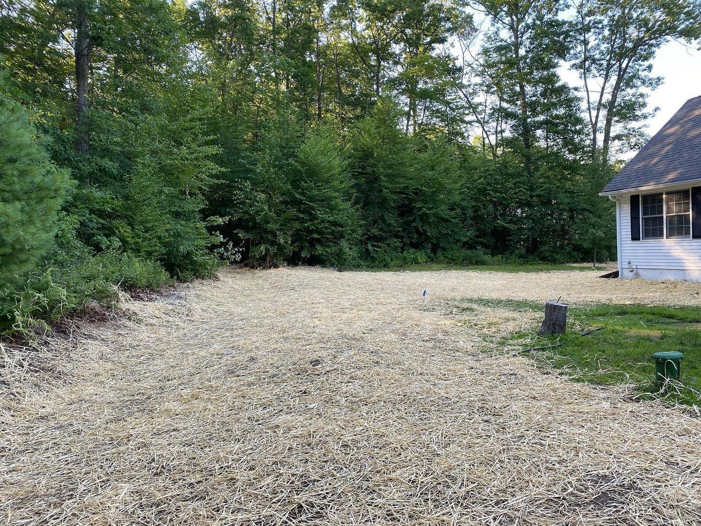 Gravel driveway beside a house, bordered by trees and shrubs.