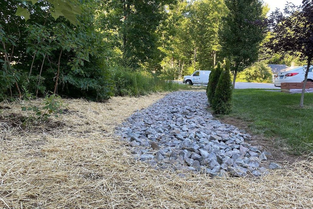 Gravel path with dry grass to the left and green grass on the right, trees in the background.