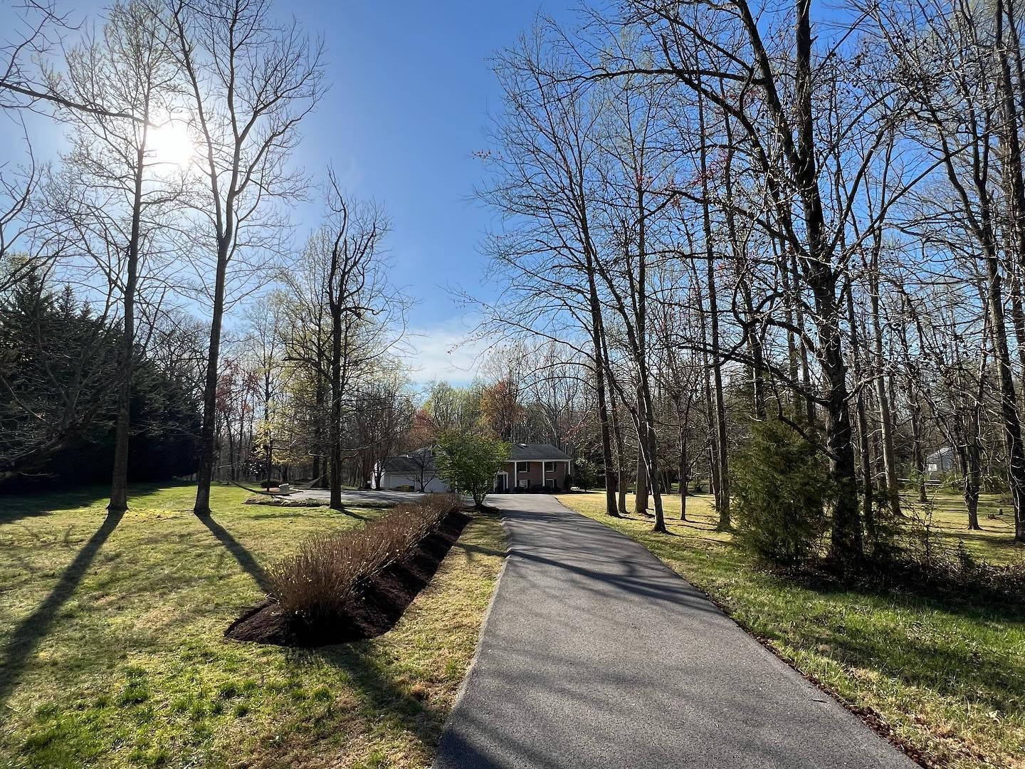 a path leading to a house surrounded by trees on a sunny day .