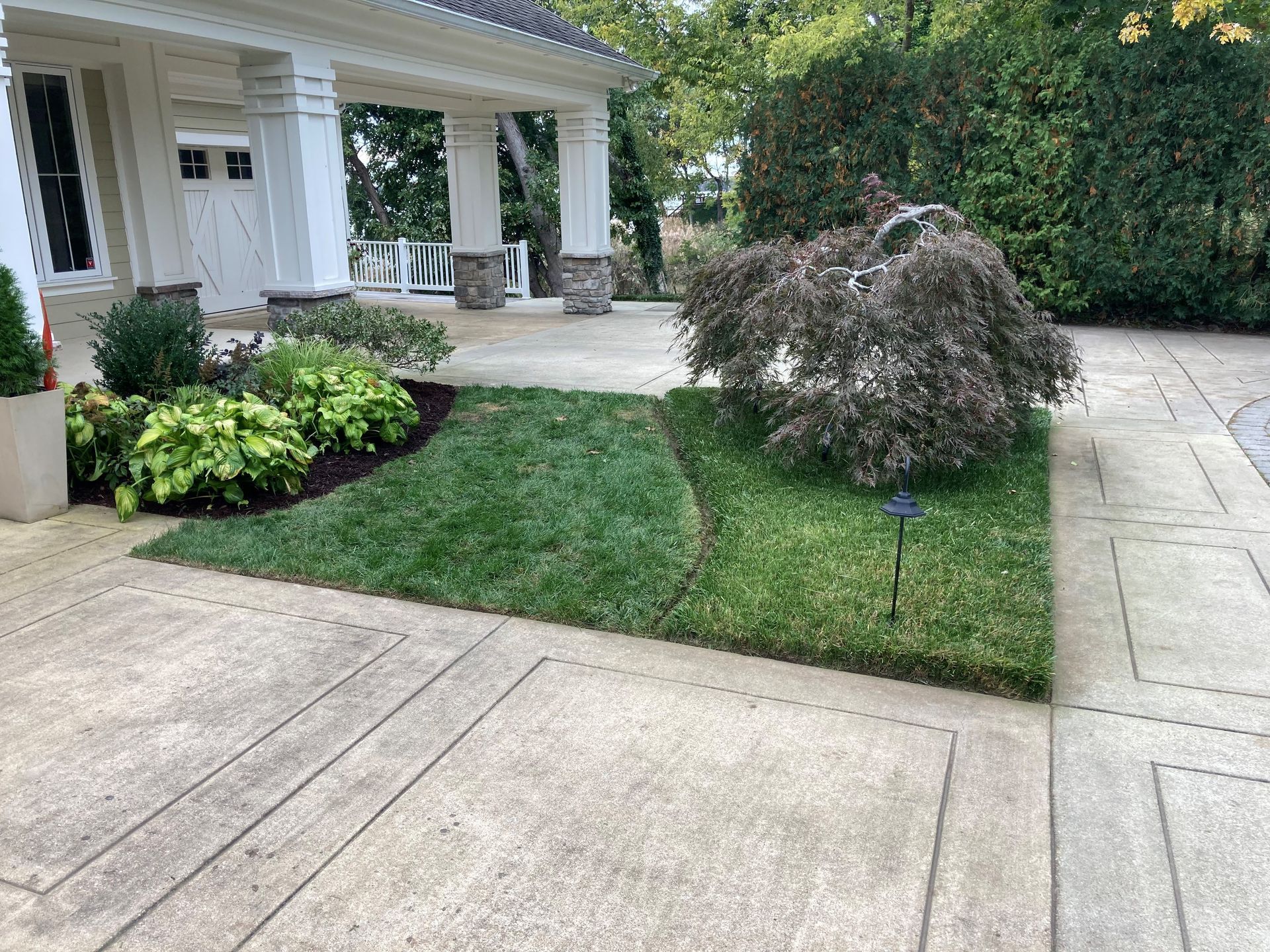 there is a tree in the middle of the yard in front of the house .