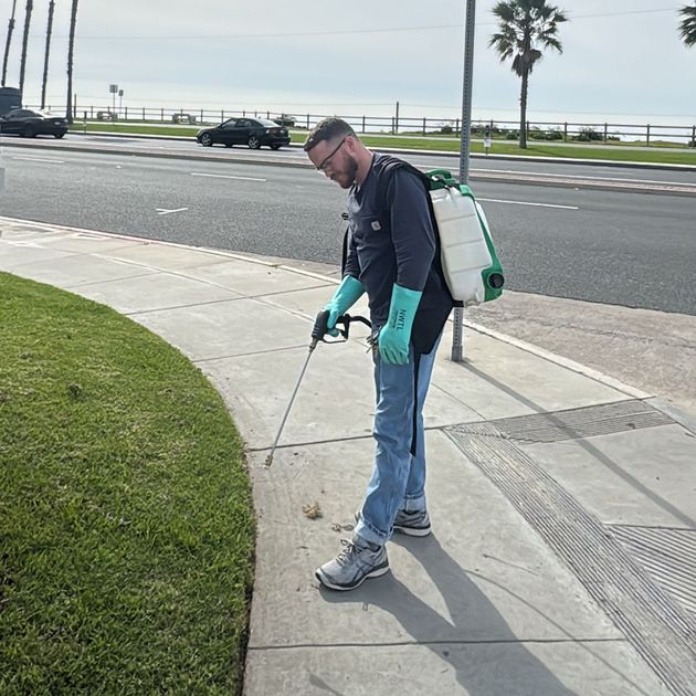 Legendary Pest Control