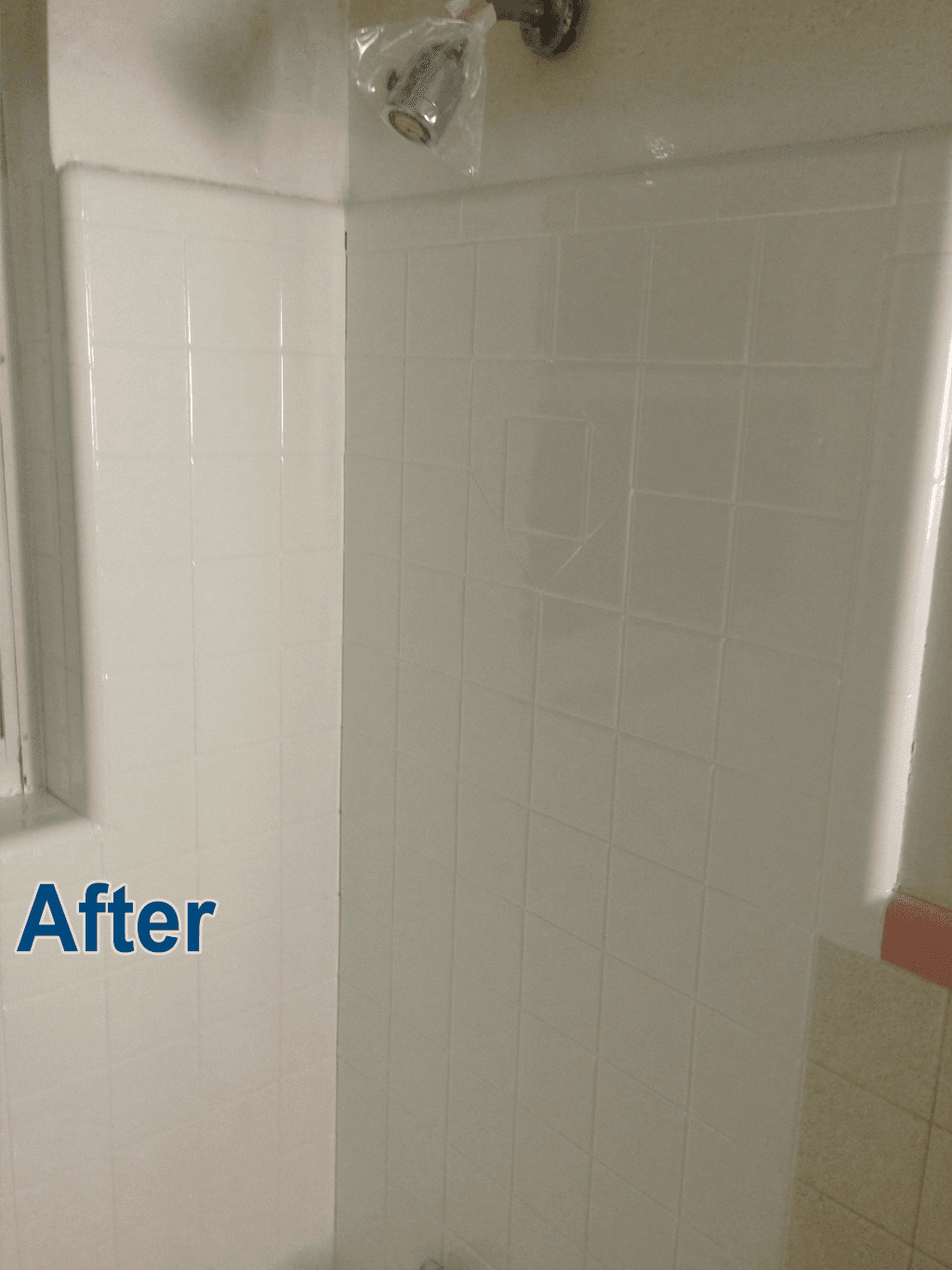 bathroom repair