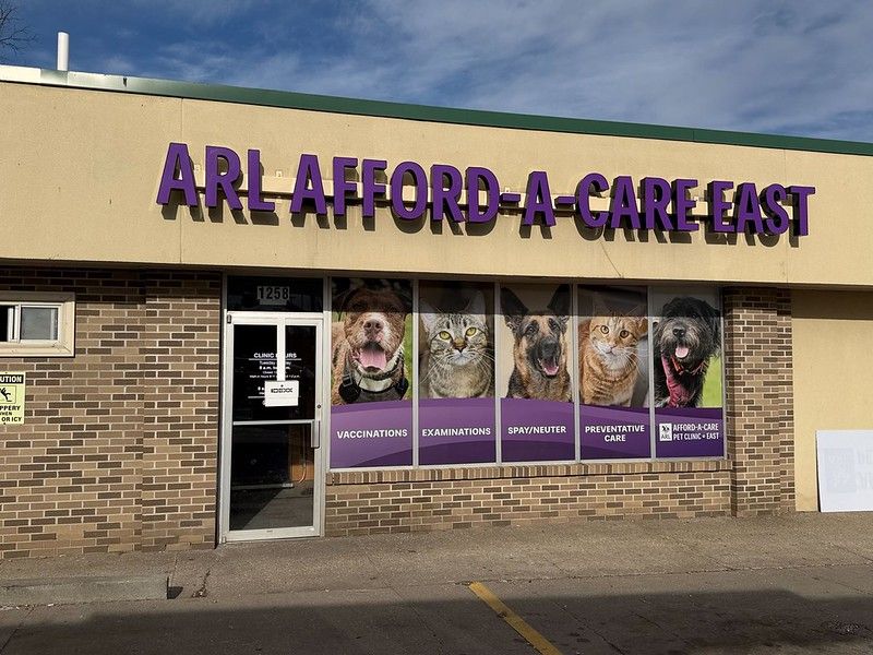 The storefront for ARL Afford-A-Care East featuring large purple signs and window decals of dogs and cats on a brick building.
