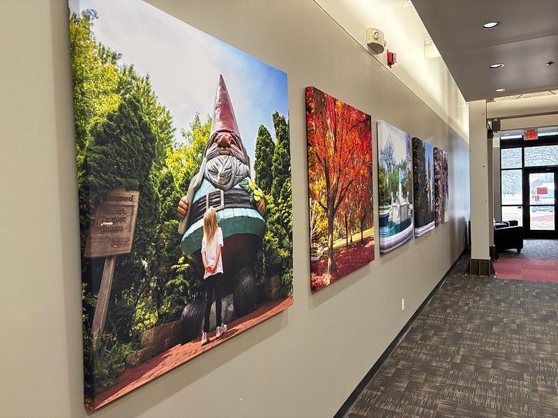 A row of large, colorful nature and scenic photos displayed on an office hallway wall.