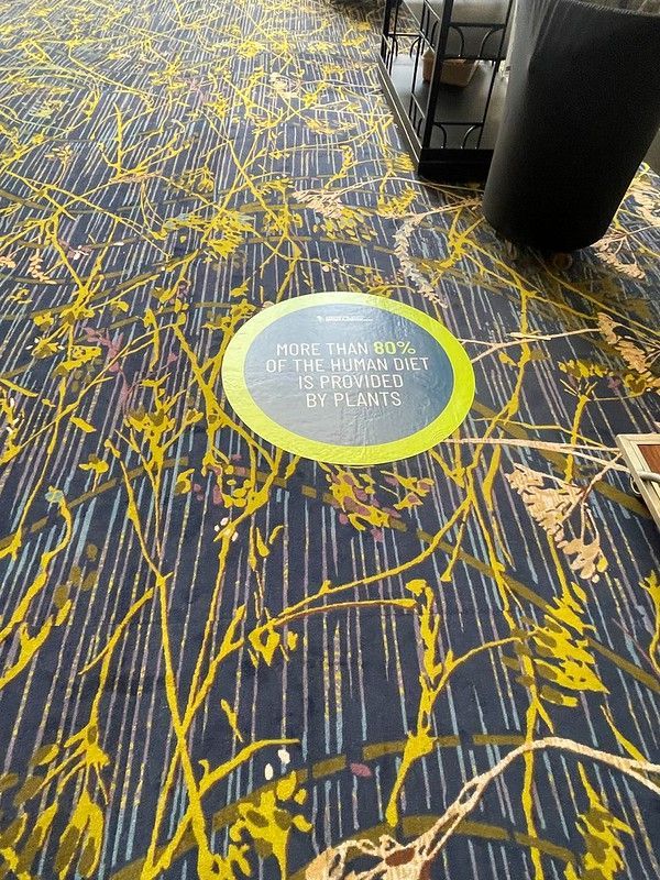 A circular floor decal with a green border reads, 