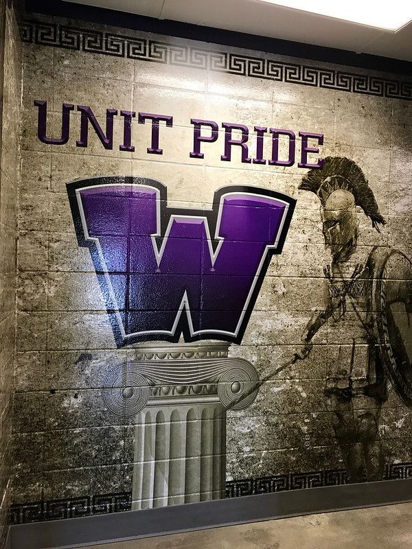 A wall mural features a large purple letter 