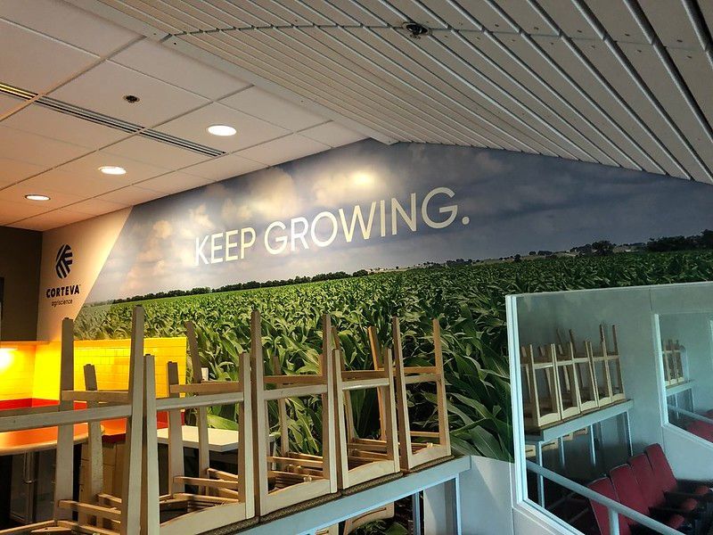 A wall mural featuring a green field and the text 