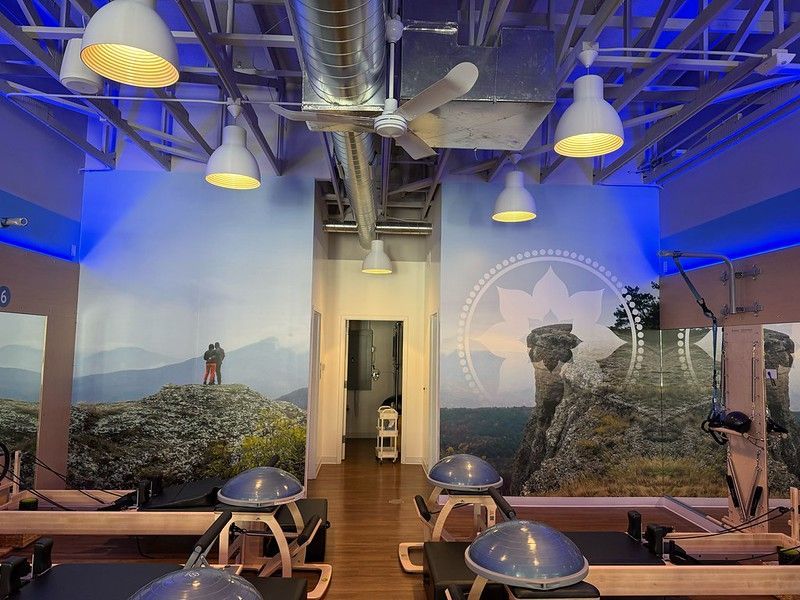 A studio with Pilates reformers, balance domes, and mural-covered walls featuring mountain landscapes under blue lighting.