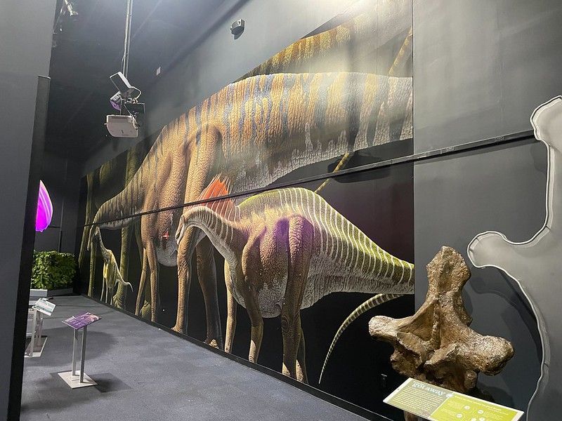 A wall mural of three large, patterned dinosaurs in a museum, with a fossilized bone on a stand in the foreground.