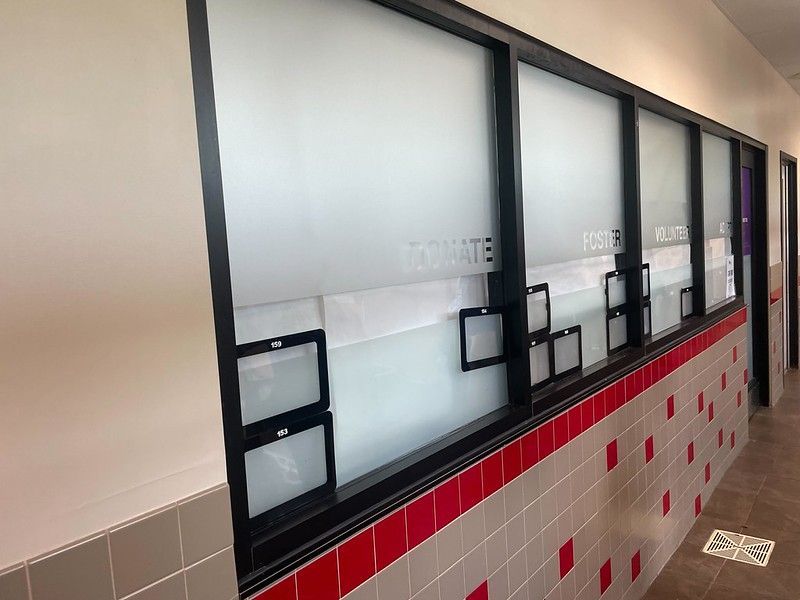 A hallway with frosted glass windows and black frames above a wall of beige and red tiles, with small black display frames.