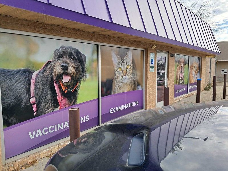 A veterinary clinic storefront with large window decals of a dog and cat, featuring purple branding and text.