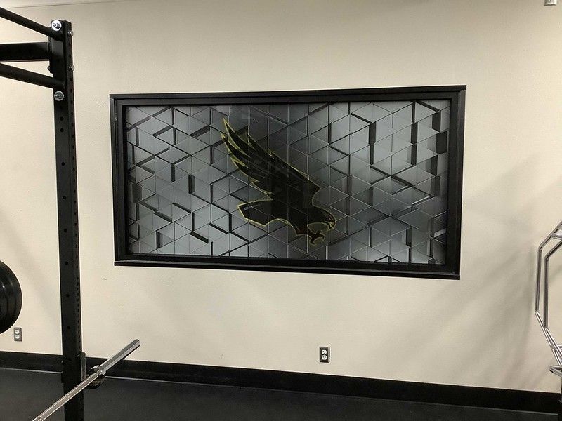 A framed wall art piece featuring a black hawk silhouette over a geometric, metallic-toned cube background in a gym.