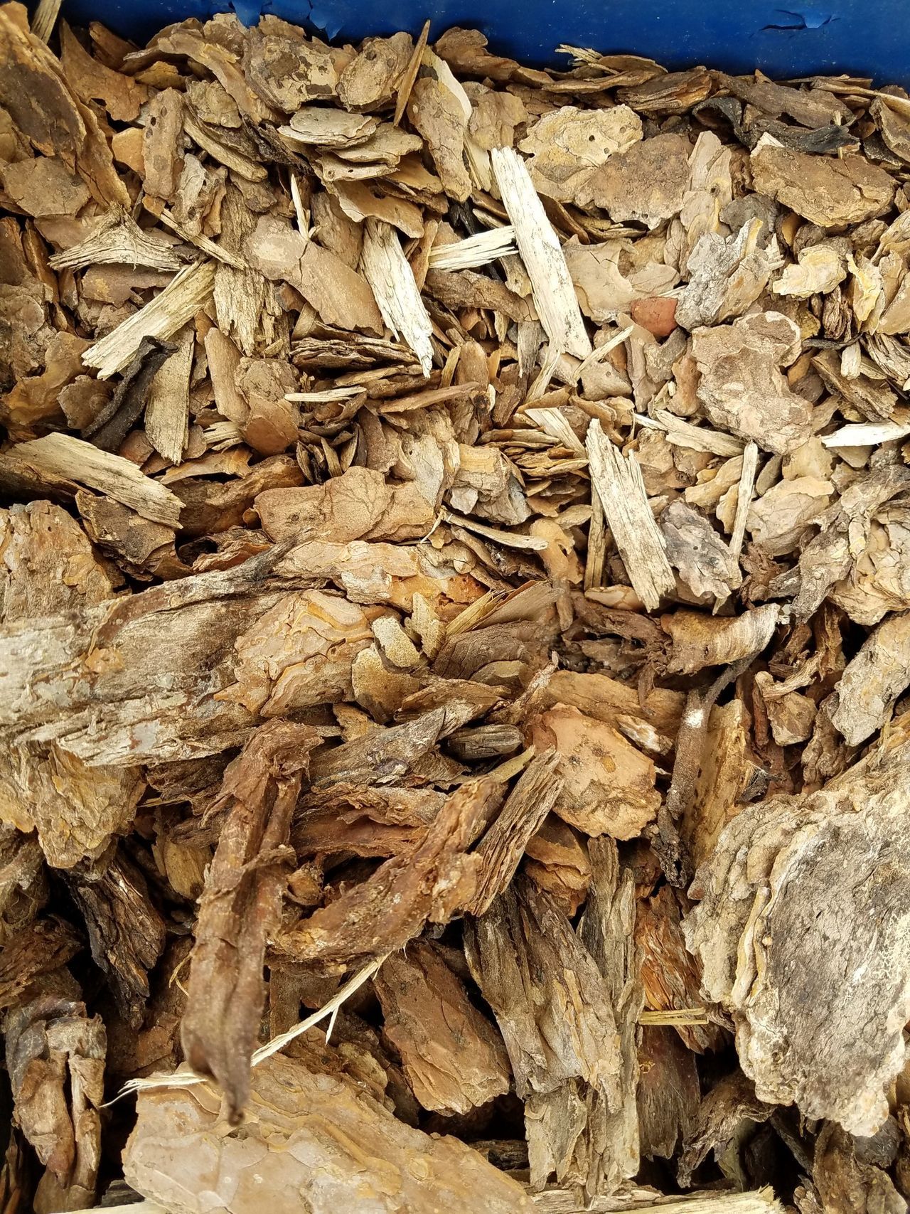 A pile of wood chips is sitting on the ground.