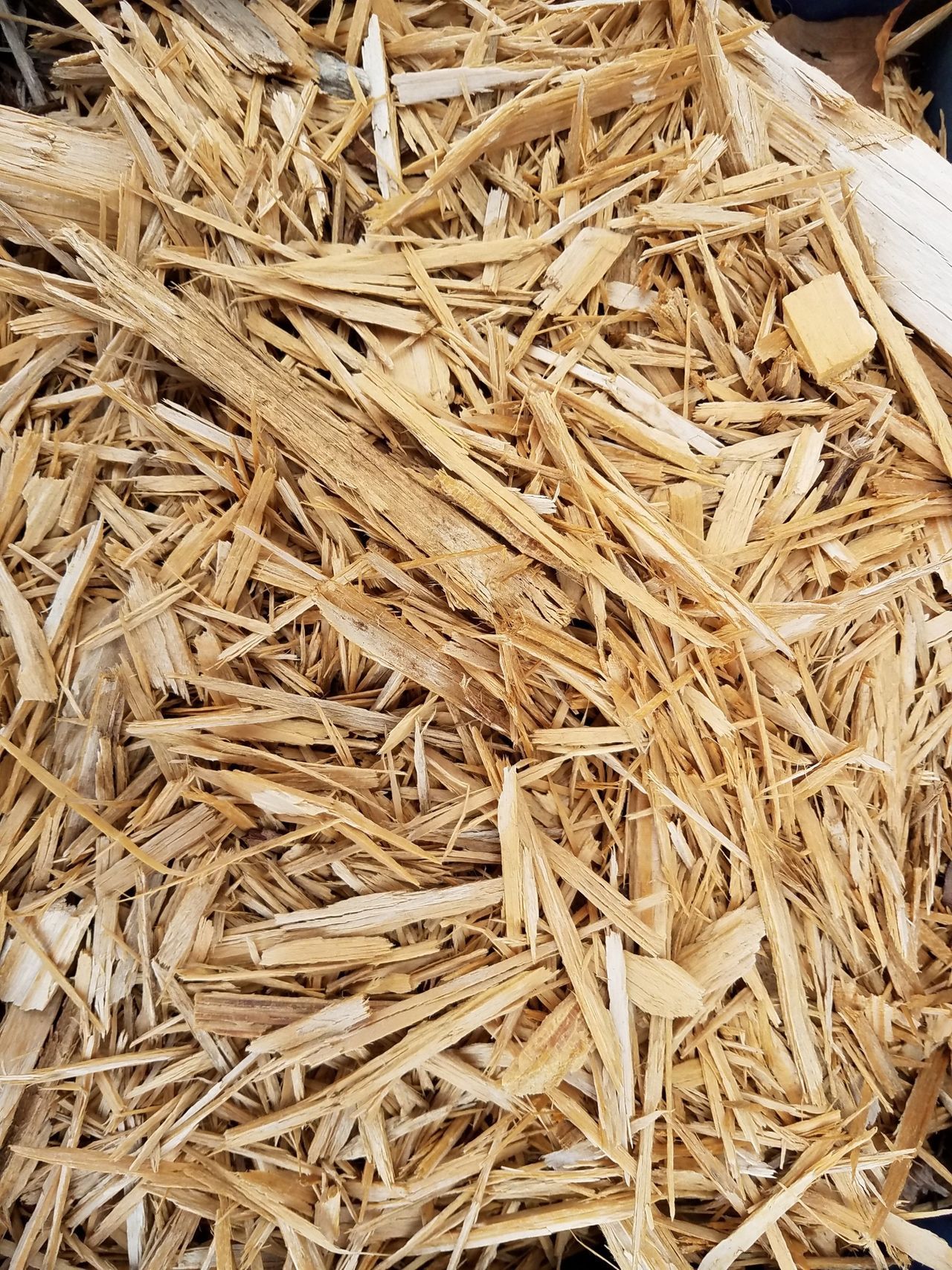 A pile of wood chips is sitting on the ground.