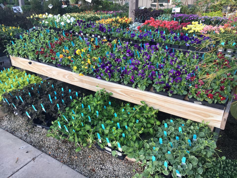 A wooden shelf filled with lots of potted plants.