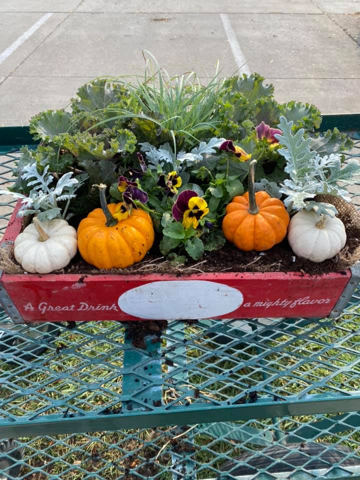 A planter filled with pumpkins and flowers is sitting on a bench.