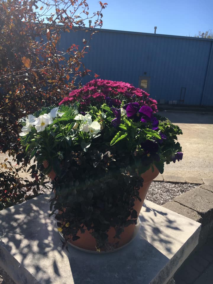A large pot filled with purple and white flowers