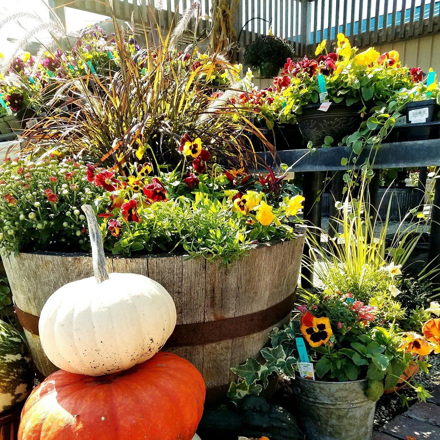 A white pumpkin is sitting on top of an orange pumpkin
